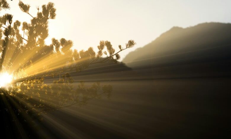 How do we know the speed of light?