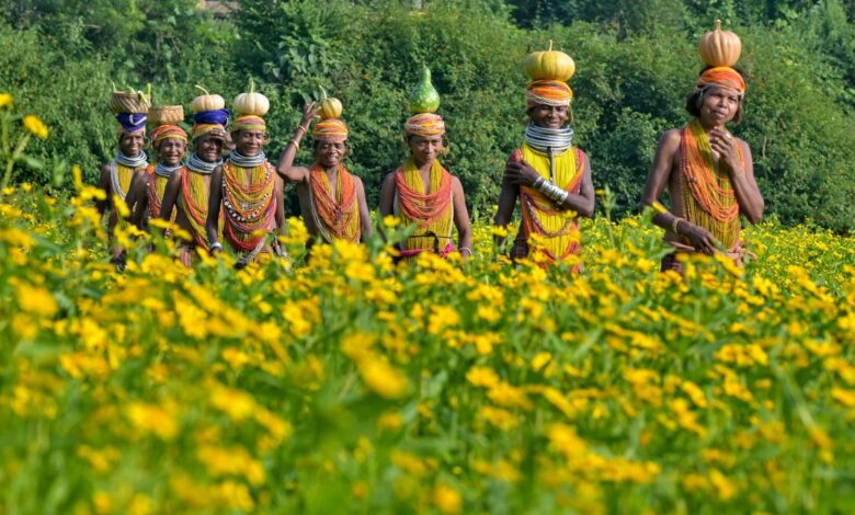 Visakha Camera Club celebrates 25 years with a photography exhibition from December 20