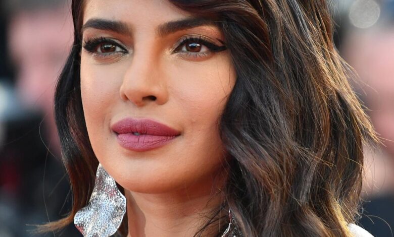 Priyanka Chopra shares video on Los Angeles fire