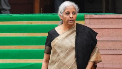 PM Internship Scheme does not provide jobs, clarifies Sitharaman in Parliament | Mint